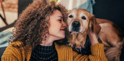 pet insurance older dogs uk.